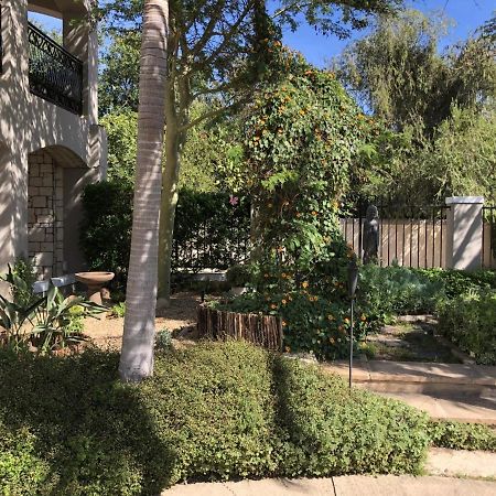 African Palm Cottage Durbanville Esterno foto