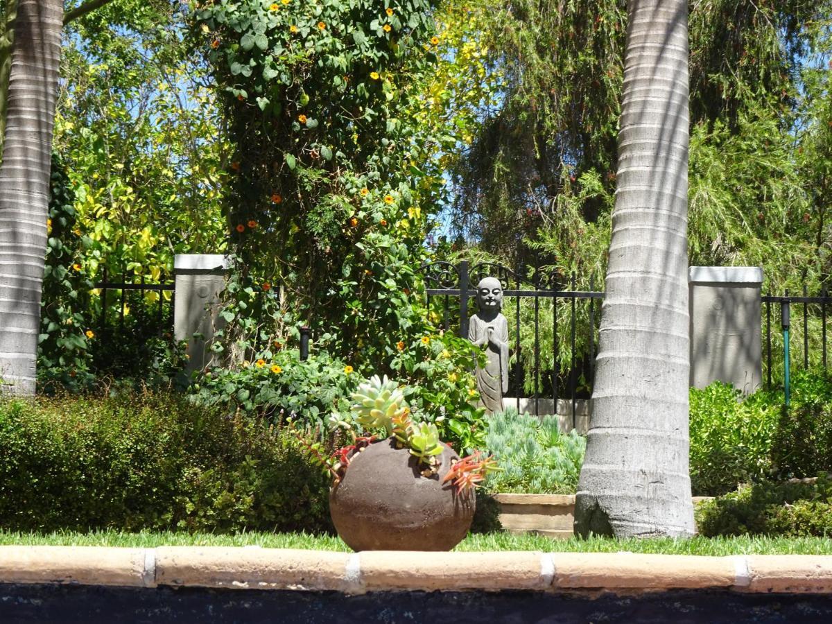 African Palm Cottage Durbanville Esterno foto